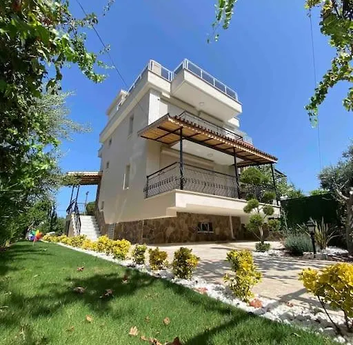 With Garden In Urla, Torasan *